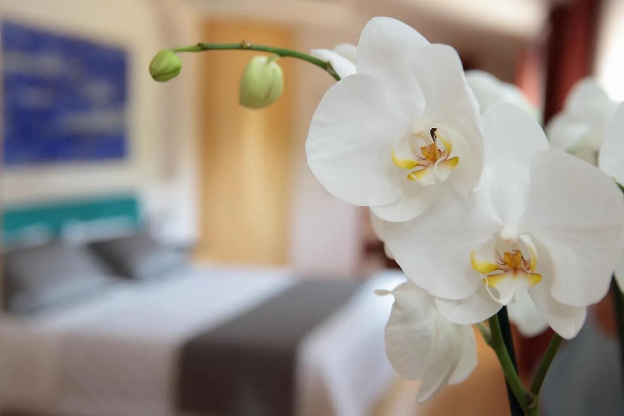 Hotel Conta Taste The Experience 피브디솔리고